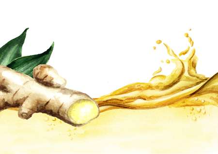 Ginger tincture wave. Watercolor hand drawn illustration  isolated on white backgroundの写真素材