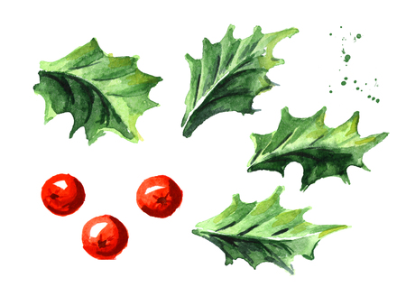 Christmas and New Year symbol decorative Holly berry elements set. Watercolor hand drawn illustration, isolated on white backgroundの写真素材