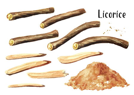 Licorice root set. Watercolor hand drawn illustration isolated on white  backgroundの写真素材