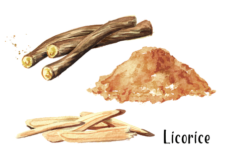 Pile of ground licorice and licorice root set. Watercolor hand drawn illustration isolated on white  backgroundの写真素材
