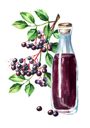 A bottle of elderberry syrup with elder brunch. Watercolor hand drawn illustration, isolated on white backgroundの写真素材