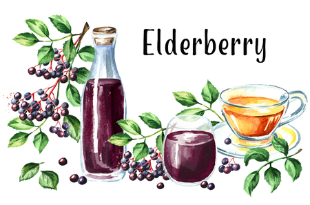 Elderberry card. Watercolor hand drawn illustration, isolated on white backgroundの写真素材
