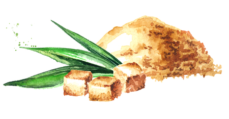 Brown sugar. Watercolor hand drawn illustration isolated on white backgroundの写真素材