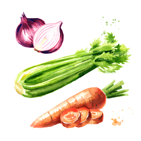 Onions, celery and carrots set. Soffritto or Mirepoix. Watercolor hand drawn illustration  isolated on white backgroundの写真素材