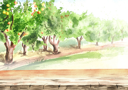 Empty table and Apple garden in perspective. Hand drawn watercolor  backgroundの写真素材