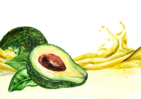 Avocado oil wave, Watercolor hand drawnの写真素材