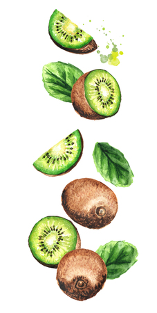Falling ripe kiwi fruits, vertical composition. Watercolor hand drawn illustration,  isolated on whiteの写真素材