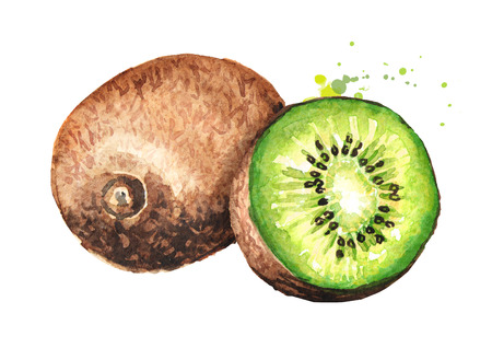 Ripe whole kiwi fruit and half kiwi fruit.の写真素材