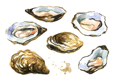 Oyster shell, seafood set. Watercolor hand drawn illustration isolated on whiteの写真素材