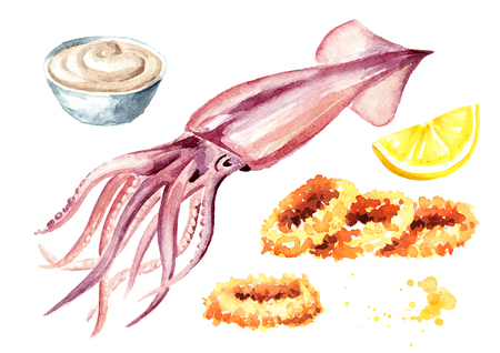 Fresh squid and fried squid rings with sauce and lemon set, seafood, Watercolor hand drawn illustration isolated on white backgroundの写真素材