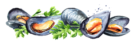 Mussels with herbs, seafood horizontal composition, Watercolor hand drawn illustration, isolated on whiteの写真素材