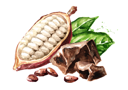 Chocolate pieces and Cocoa beans with pod and green leaves. Superfood. Watercolor hand drawn illustration, isolated on white backgroundの写真素材
