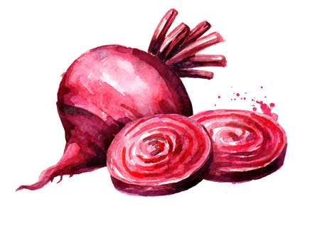 Fresh Beet root with slices. Watercolor hand drawn illustration, isolated on white backgroundの写真素材