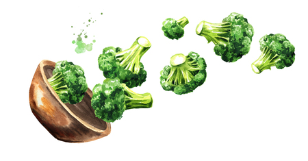 Bowl with fresh broccoli. Hand drawn horizontal watercolor illustration, isolated on white backgroundの写真素材