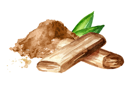 Sandalwood or Chandan Sticks and powder with green leaves. Watercolor hand drawn illustration isolated on white backgroundの写真素材