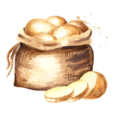 Bag of raw potatoes. Watercolor hand drawn illustration, isolated on white backgroundの写真素材