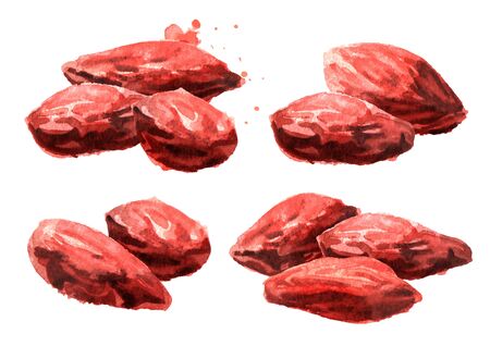 Dried Goji berries or Lycium barbarum set. Watercolor hand drawn illustration isolated on white backgroundの写真素材