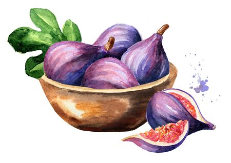 Bowl with fig fruits. Watercolor hand drawnの写真素材