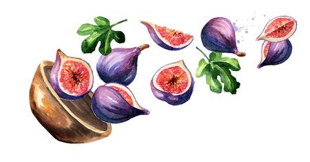 Bowl with fig fruits. Hand drawn horizontal watercolorの写真素材