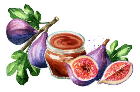 Fresh ripe purple fig fruit and leaves on a branch.の写真素材