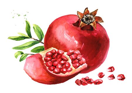 Pomegranate fruit Watercolor hand drawn  isolated on whiteの写真素材