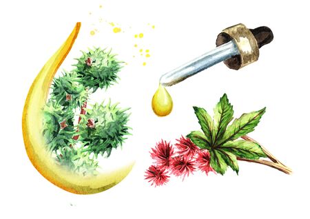 Castor oil set on whiteの写真素材