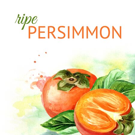Persimmon  background. Watercolor hand drawn illustrationの写真素材