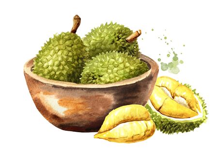 Bowl with durian fruits.の写真素材