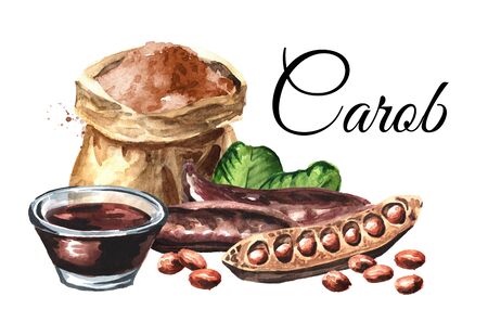 Carob pods, beans, molasses and powder in the paper bag card. Hand drawn watercolor illustration  isolated on white backgroundの写真素材