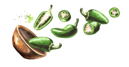 Bowl with Jalapeno green hot chili pepper, whole pods, chopped, halved, and sliced. Hand drawn watercolor illustration  isolated on white backgroundの写真素材