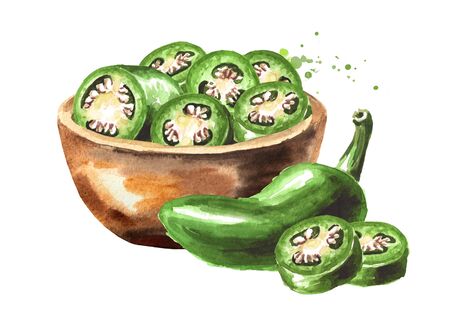 Bowl with Jalapeno green hot chili pepper, whole pods, chopped, halved, and sliced. Hand drawn watercolor illustration, isolated on white backgroundの写真素材