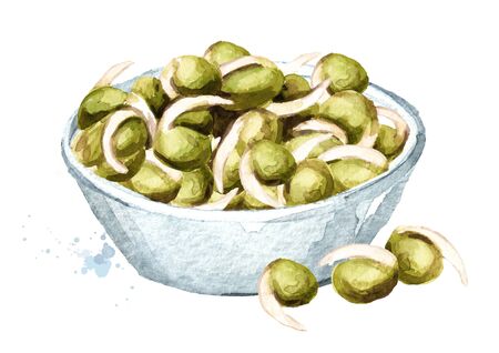 Sprouted mung beans. Hand drawn watercolor illustration, isolated on white backgroundの写真素材