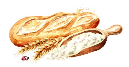 Fresh baguette with wheat ears and  flour. Hand drawn watercolor, illustration isolated on white backgroundの写真素材