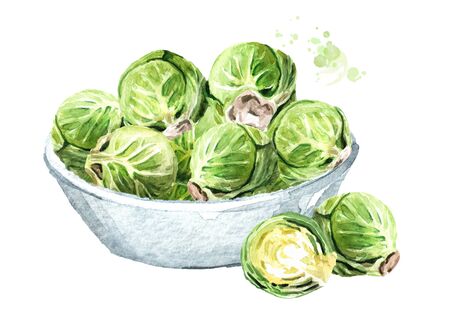 Bowl with Marinated small capers. Hand drawn watercolor illustration isolated on white backgroundの写真素材