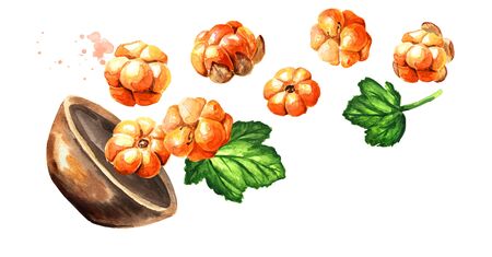 Bowl with northern forest berry cloudberry  with leaves. Hand drawn watercolor horizontal...
