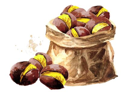 Paper sack with Roasted edible Chestnuts. Hand drawn watercolor illustration isolated on white backgroundの写真素材