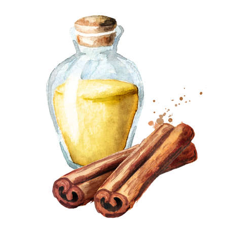 Cinnamon stick and bottle of essential oil. Hand drawn watercolor illustration isolated on white backgroundの写真素材