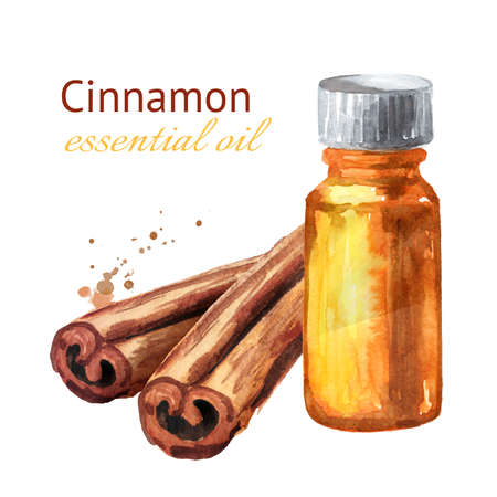 Cinnamon stick and bottle of essential oil. Hand drawn watercolor illustration, isolated on white backgroundの写真素材
