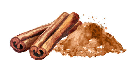 Cinnamon sticks and powder. Hand drawn watercolor illustration, isolated on white backgroundの写真素材