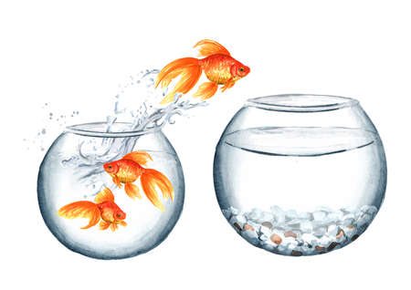 Goldfish. Gold fish jumping out of the small round glass aquarium in the big one. The concept of improvement of living conditions. Watercolor hand drawn illustration isolated on white backgroundの写真素材