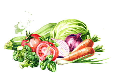 Fresh organic vegetables, Hand drawn watercolor illustration isolated on white backgroundの写真素材