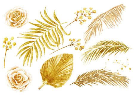 Boho dried gold colored flowers and palm leaves set. Hand drawn watercolor illustration isolated on white backgroundの写真素材