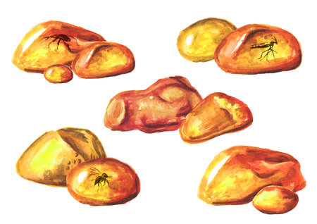 Transparent amber with insects inside set. Hand drawn watercolor illustration, isolated on white backgroundの写真素材