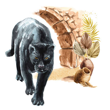Black panther or jaguar and oriental architectureの写真素材