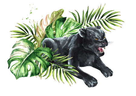 Black panther or jaguar with exotic tropical or jungle Leavesの写真素材