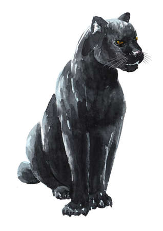Black panther or jaguar.の写真素材