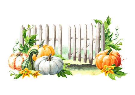 Happy Thanksgiving card with pumpkins harvest. Hand drawn watercolor illustration, isolated on white backgroundの写真素材