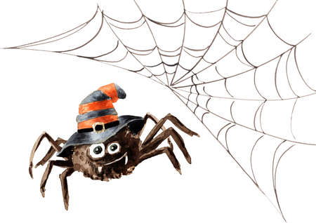 Spider with web. Hand drawn watercolor illustration, isolated on white backgroundの写真素材