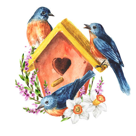 Birdhouse with birds and spring flowers, Spring card concept. Watercolor hand drawn illustration, isolated on the white backgroundの写真素材