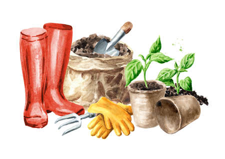 Sprouts ready for planting, pots for seedlings and rubber boots, Spring working in the garden. Hand drawn watercolor illustration isolated on white backgroundの写真素材